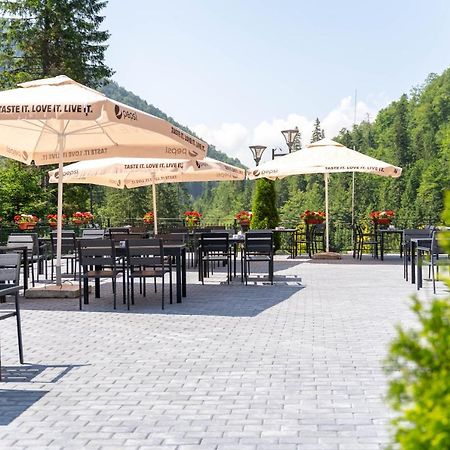 Piscul Negru Hotel - Transfagarasan Cumpana  Exterior photo