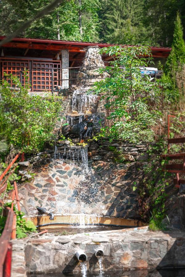 Piscul Negru Hotel - Transfagarasan Cumpana  Exterior photo