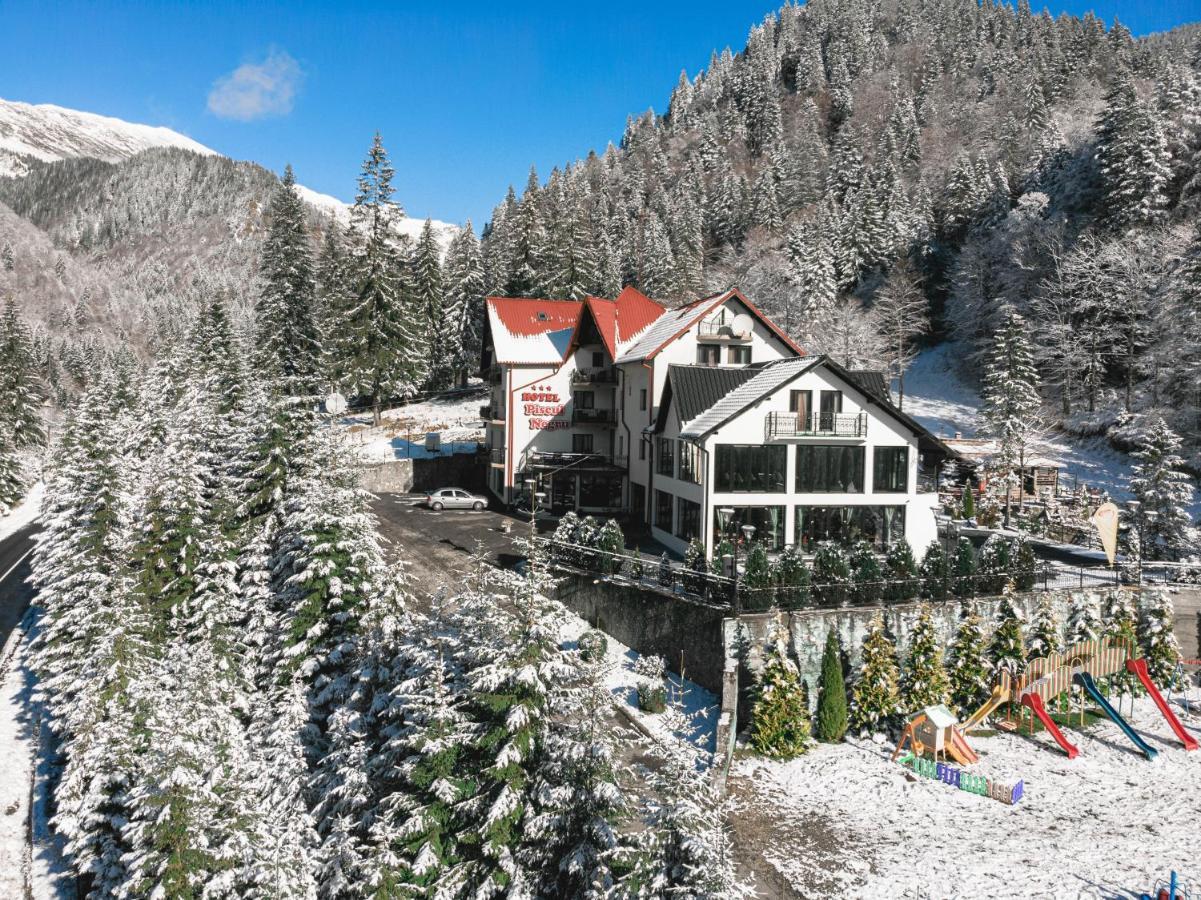 Piscul Negru Hotel - Transfagarasan Cumpana  Exterior photo