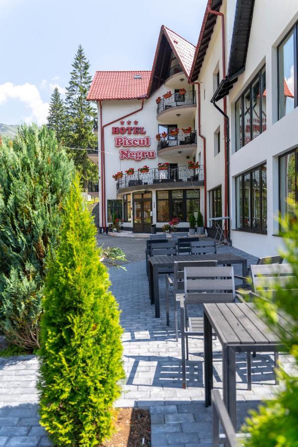 Piscul Negru Hotel - Transfagarasan Cumpana  Exterior photo