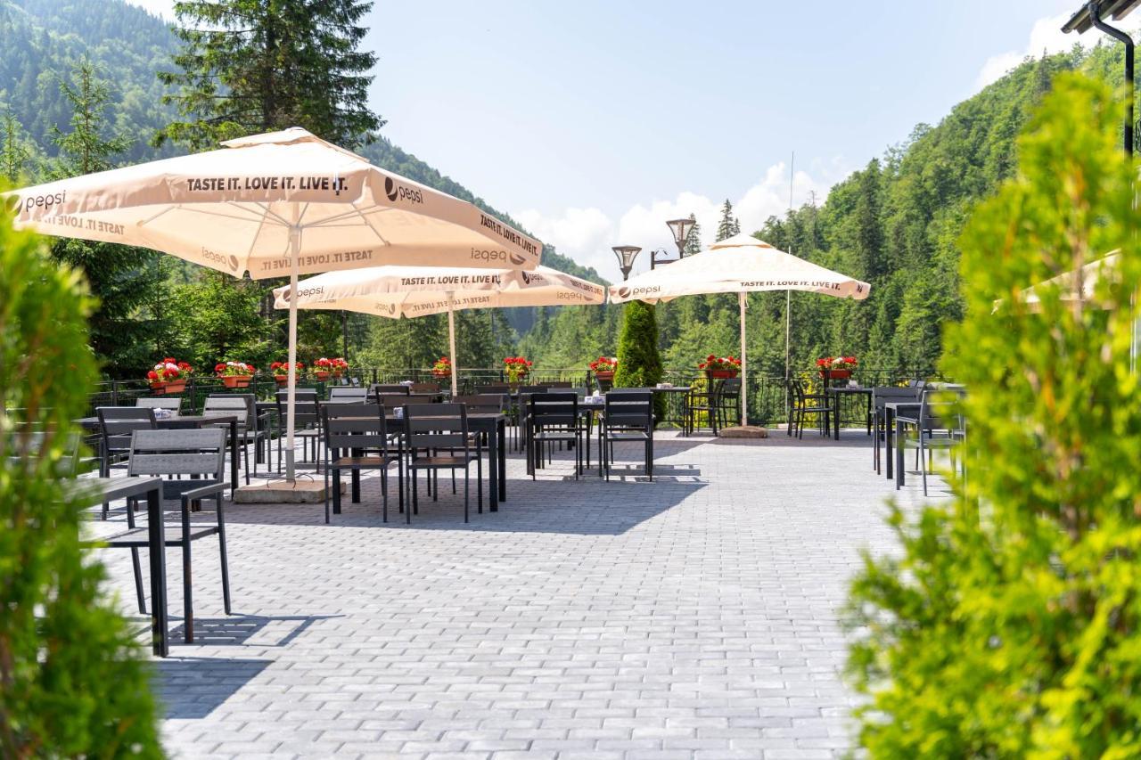 Piscul Negru Hotel - Transfagarasan Cumpana  Exterior photo