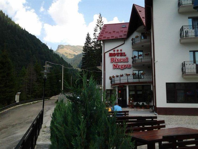Piscul Negru Hotel - Transfagarasan Cumpana  Exterior photo